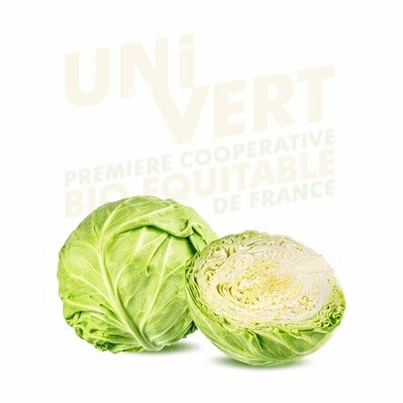Chou lisse vert BIO - la pièce