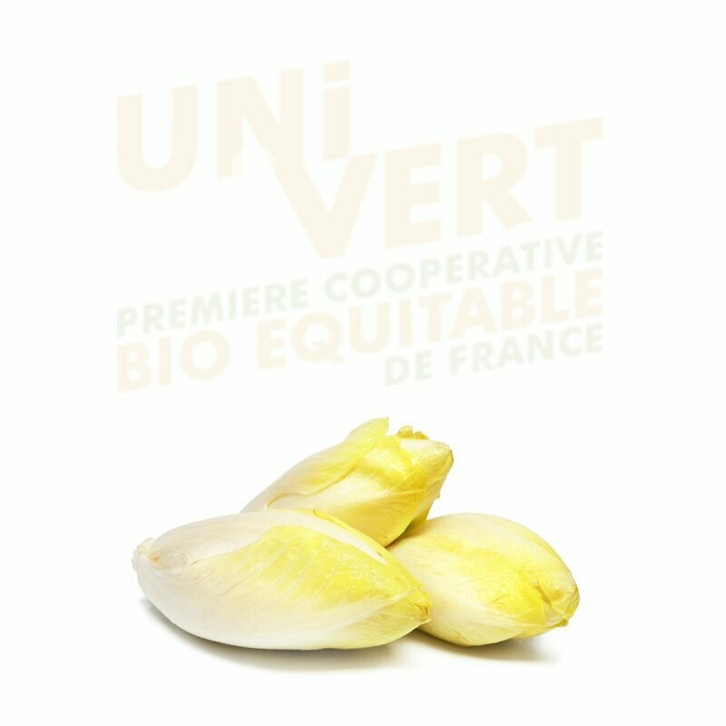 Endives BIO 500G