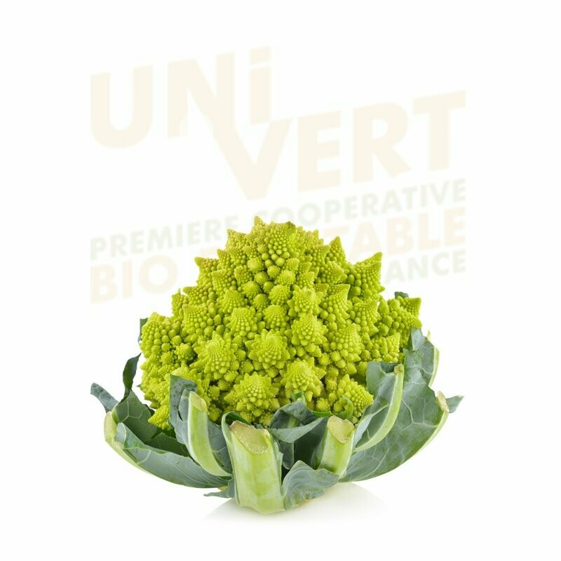 Chou Romanesco BIO - la pièce