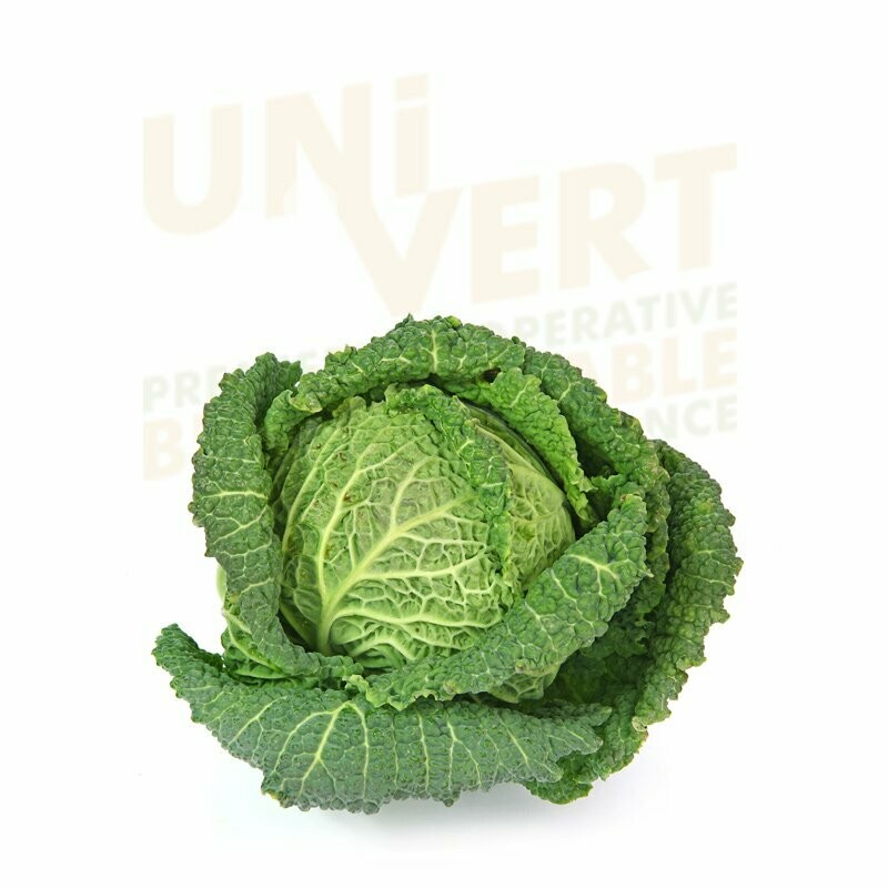 Chou frisé vert BIO  la pièce