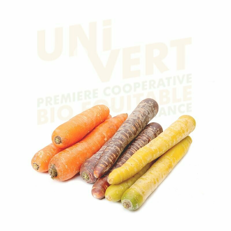 Carotte Multicolore BIO 1KG