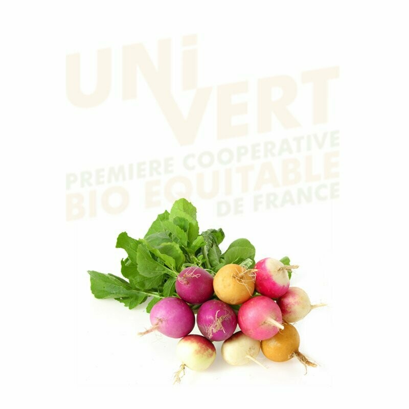 Radis rond multicolor BIO - La botte