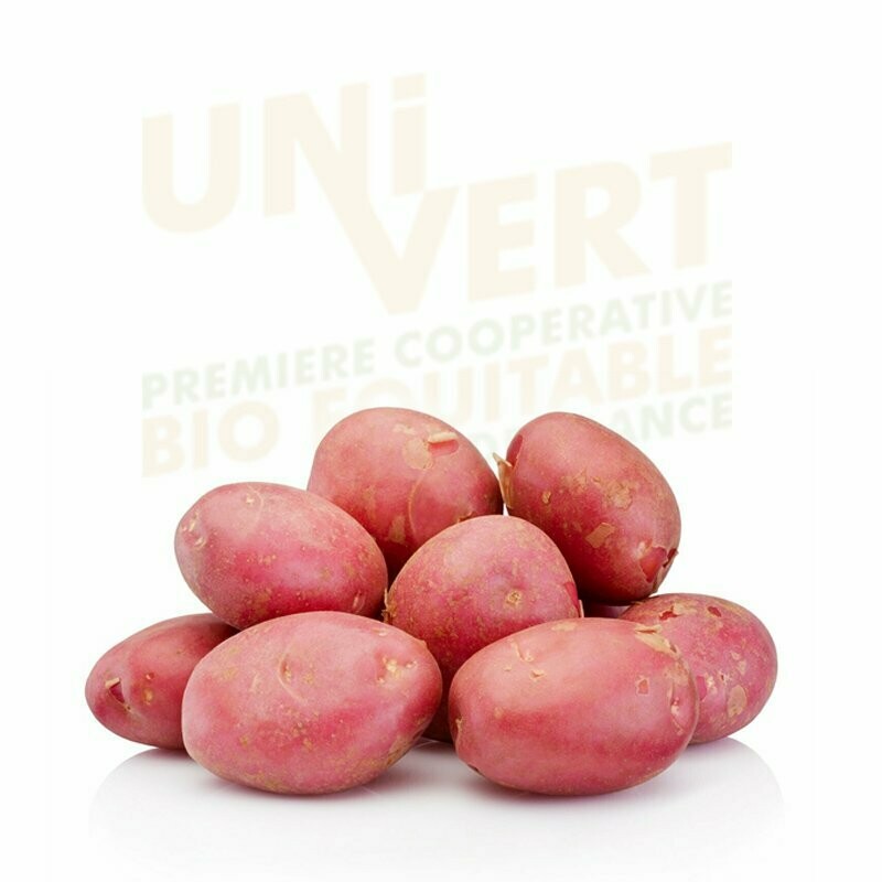 Pomme de terre rouge  Rubis  BIO- 1Kg