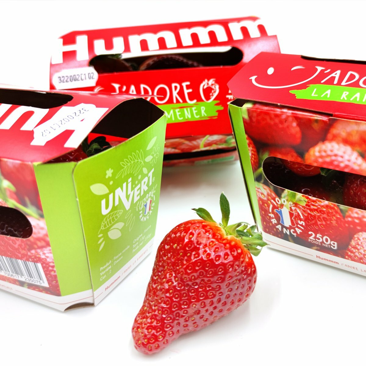 Fraises BIO - barquette 250gr