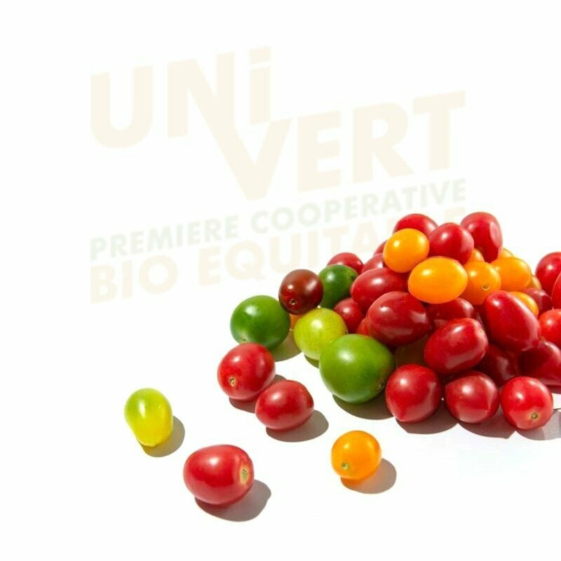 Tomate cerise multicolore - 500 gr