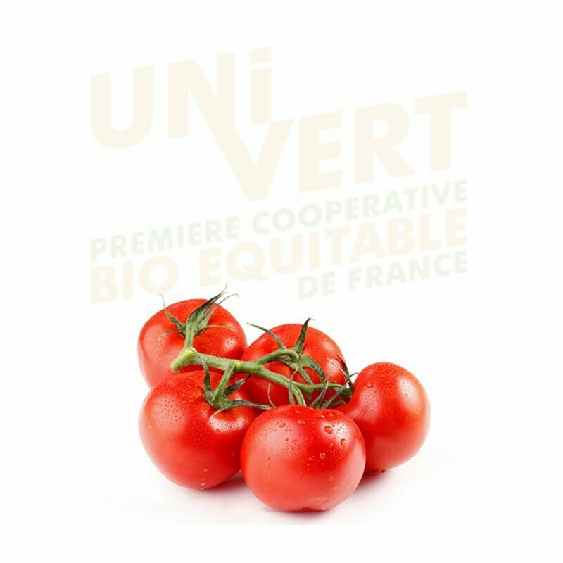 Tomate grappe BIO - 1KG