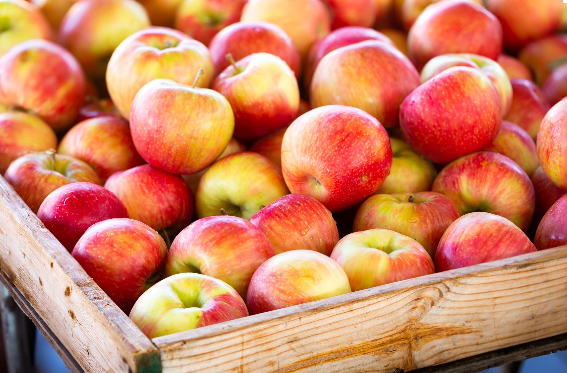 Pur jus de Pomme BIO - la bouteille 75 cl