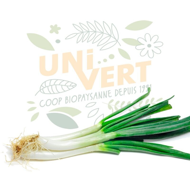 Cebette BIO - la botte