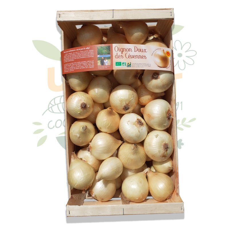 Oignon doux  des Cévennes BIO - 1KG