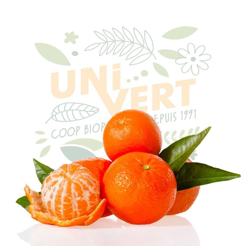 Clémentine de Saint-Gilles BIO - 1KG