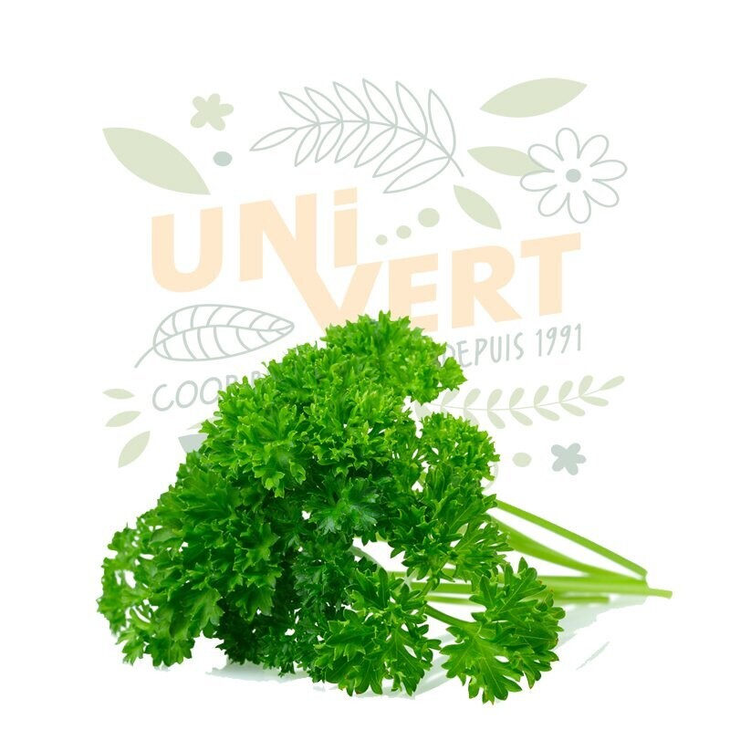 Persil frisé BIO - la botte