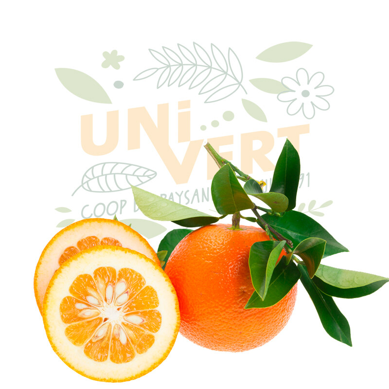 Orange amère BIO - 1KG