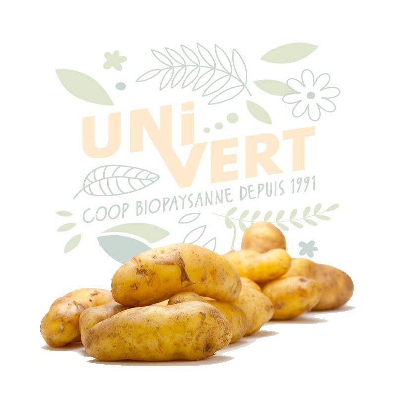 Pomme de terre primeur BIO - 1kg