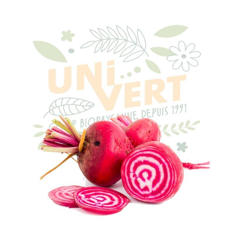 Betterave Chioggia - 500Gr