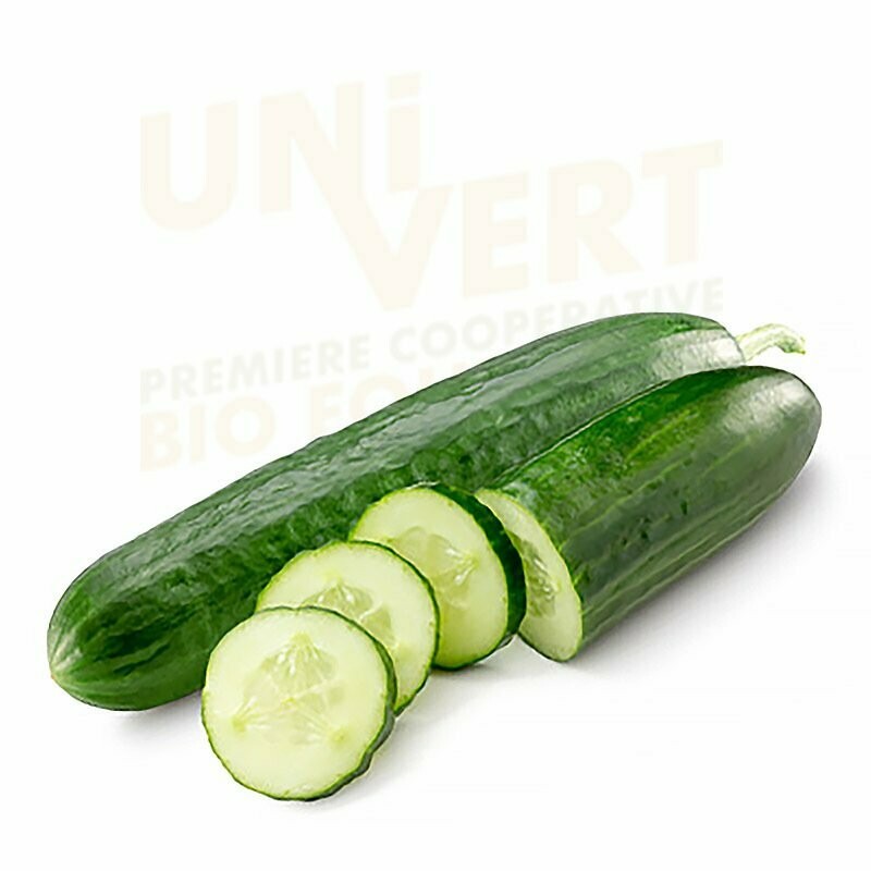 Concombre long lisse BIO - la pièce