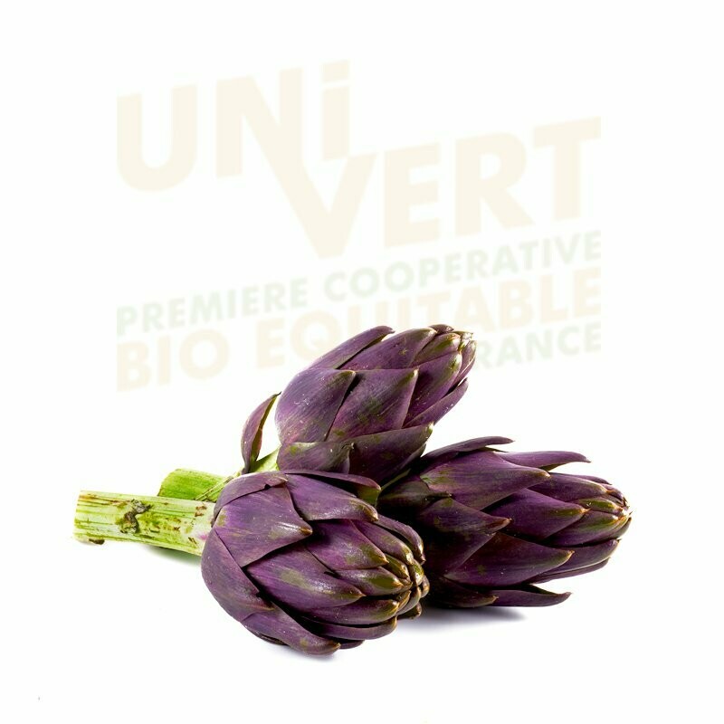 Artichaut Violet en bouquet