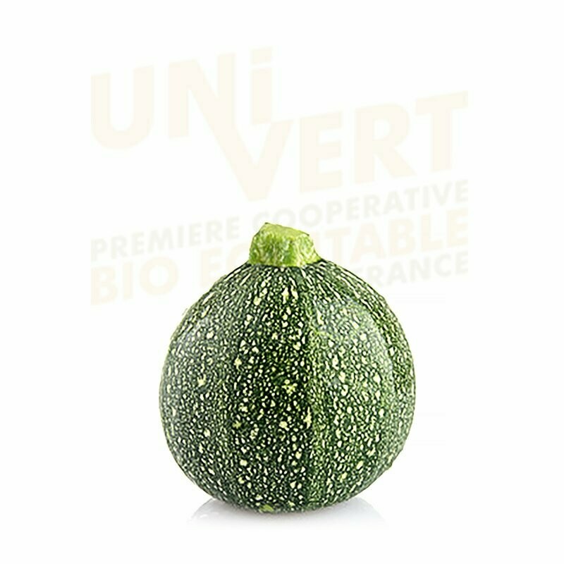 Courgette ronde verte BIO - 1 KG