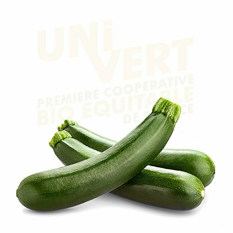 Courgette longue verte BIO -