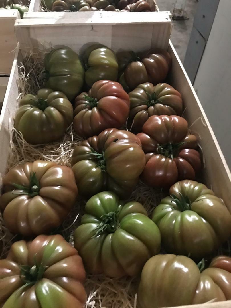 Tomate noire de crimée Bio- 1KG