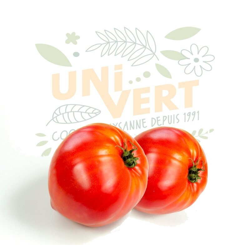 Tomate coeur de boeuf BIO - 1 KG