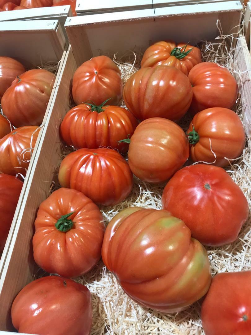 Tomate Côtelée BIO - 1KG