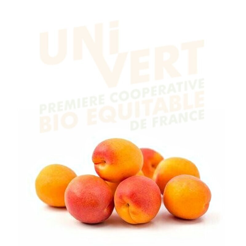 Abricot BIO -1KG