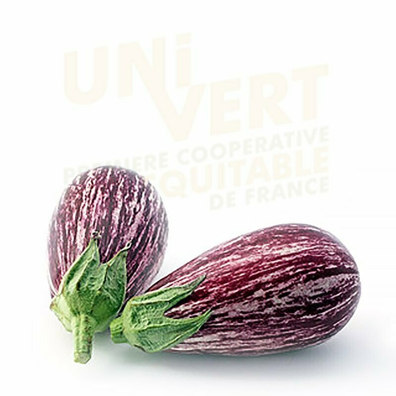 Aubergine Graffiti BIO - 500GR