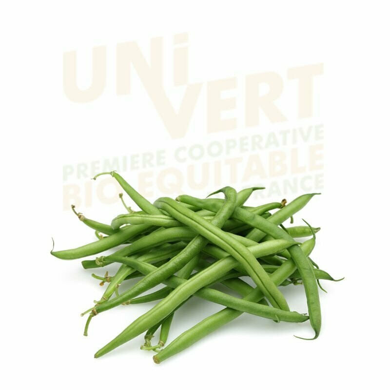 Haricot vert BIO - 500gr