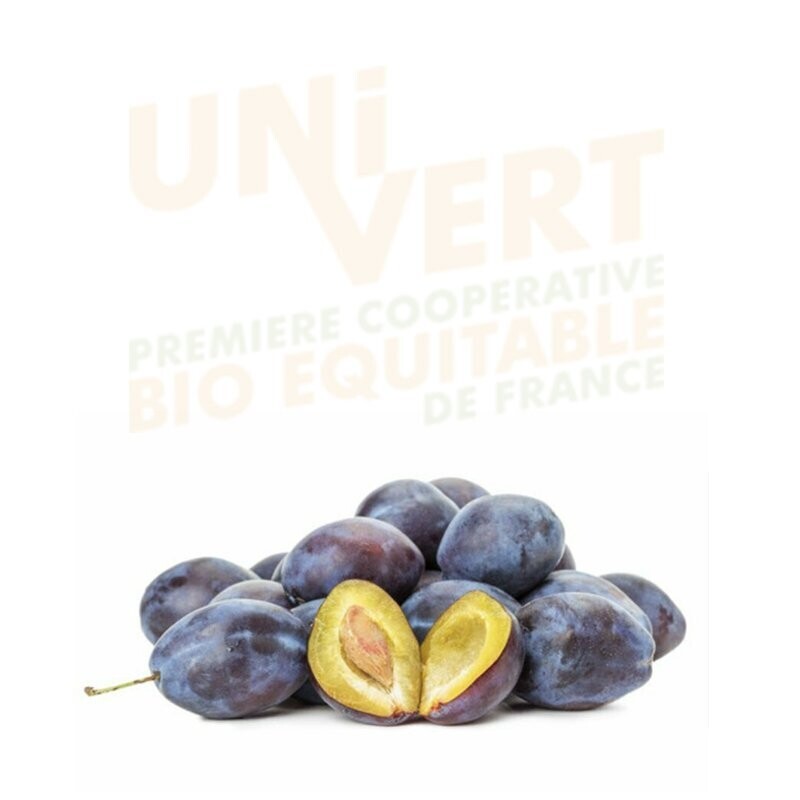 Prune- Dente 1 Kg