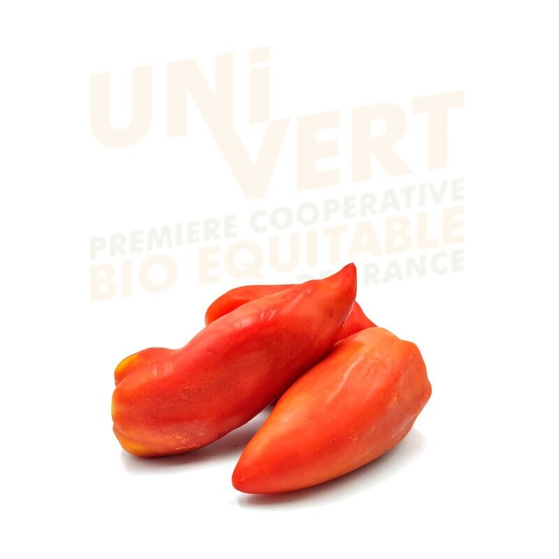 Tomate Cornue - 1KG
