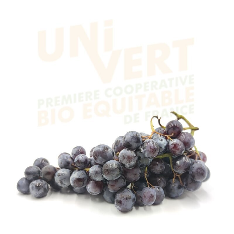 Raisin Muscat BIO - 1KG