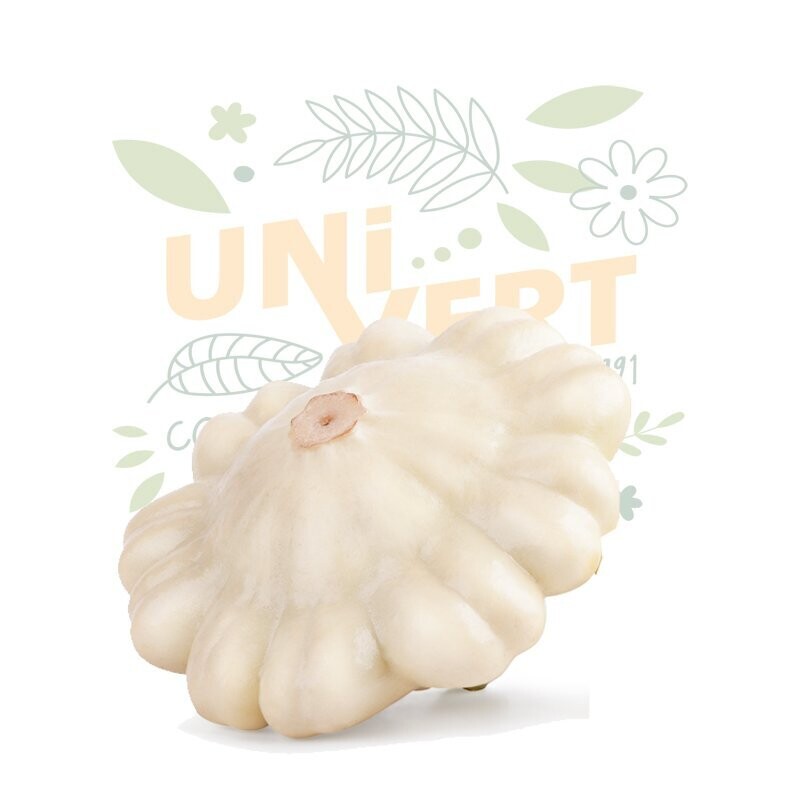 Courge Pâtisson Blanc BIO la pièce