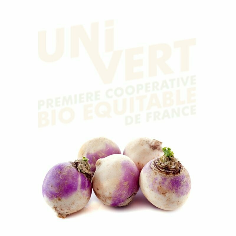 Navet violet primeur   BIO 500gr