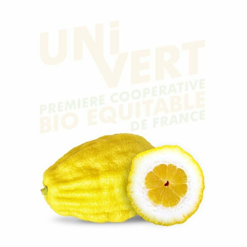 Cédrat Corse BIO - 1KG