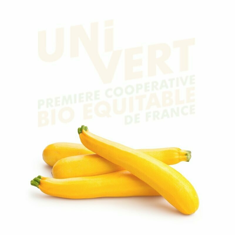 Courgette longue jaune BIO - 1KG