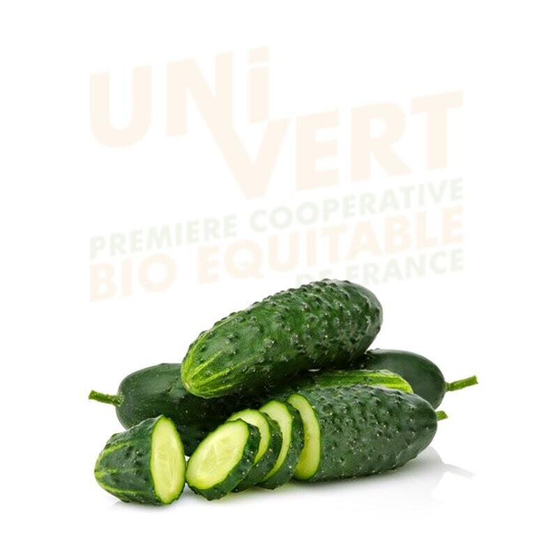 Concombre NOA court épineux BIO 500gr