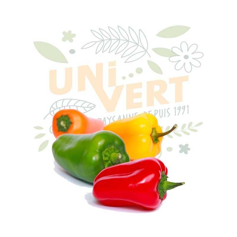 Mini poivrons BIO - 500g