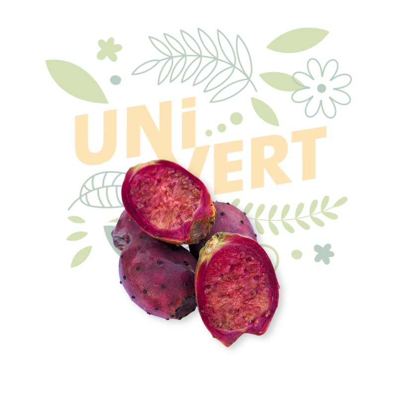 Figues de Barbarie BIO 500 Gr