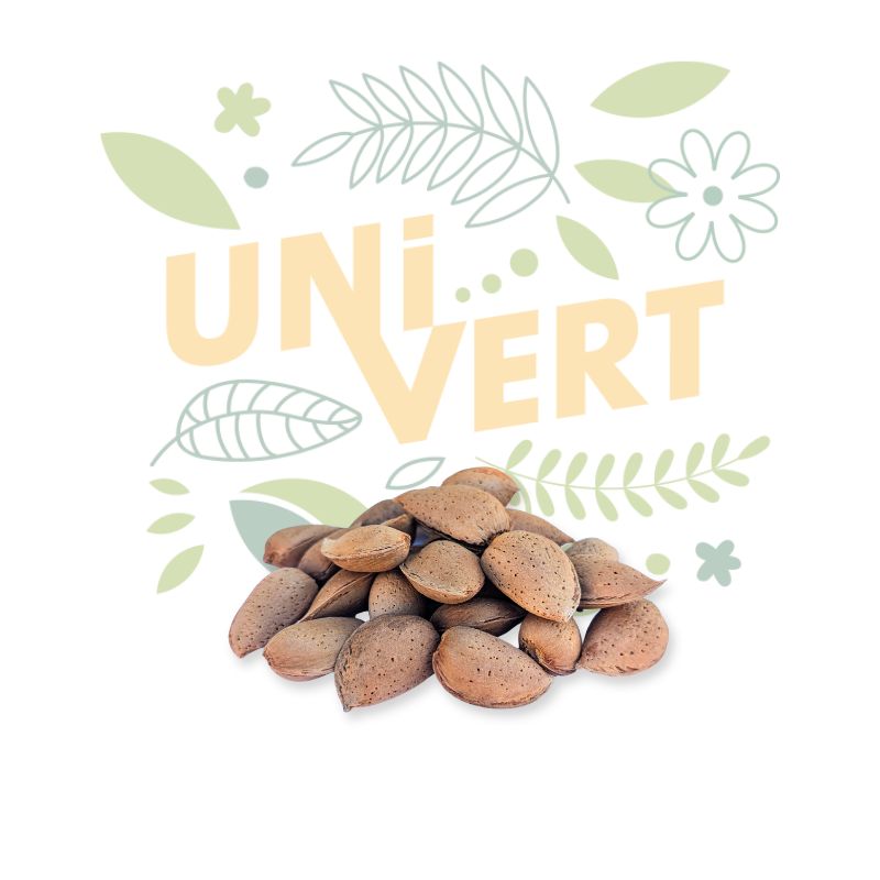 Amandes entières 500 Gr