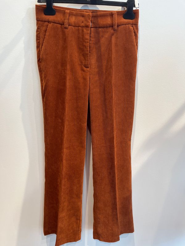 NIEUW VELOURS BROEK CAMBIO