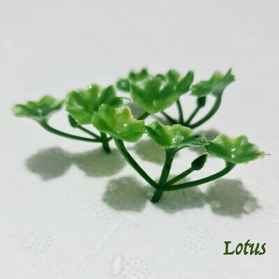 Itty Bitty Mini Lotus Tree - 6pk