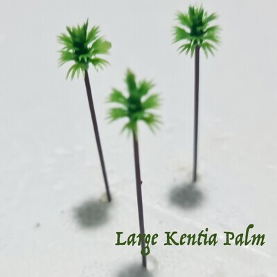 Itty Bitty Mini Kentia Palm Tree - 3pk