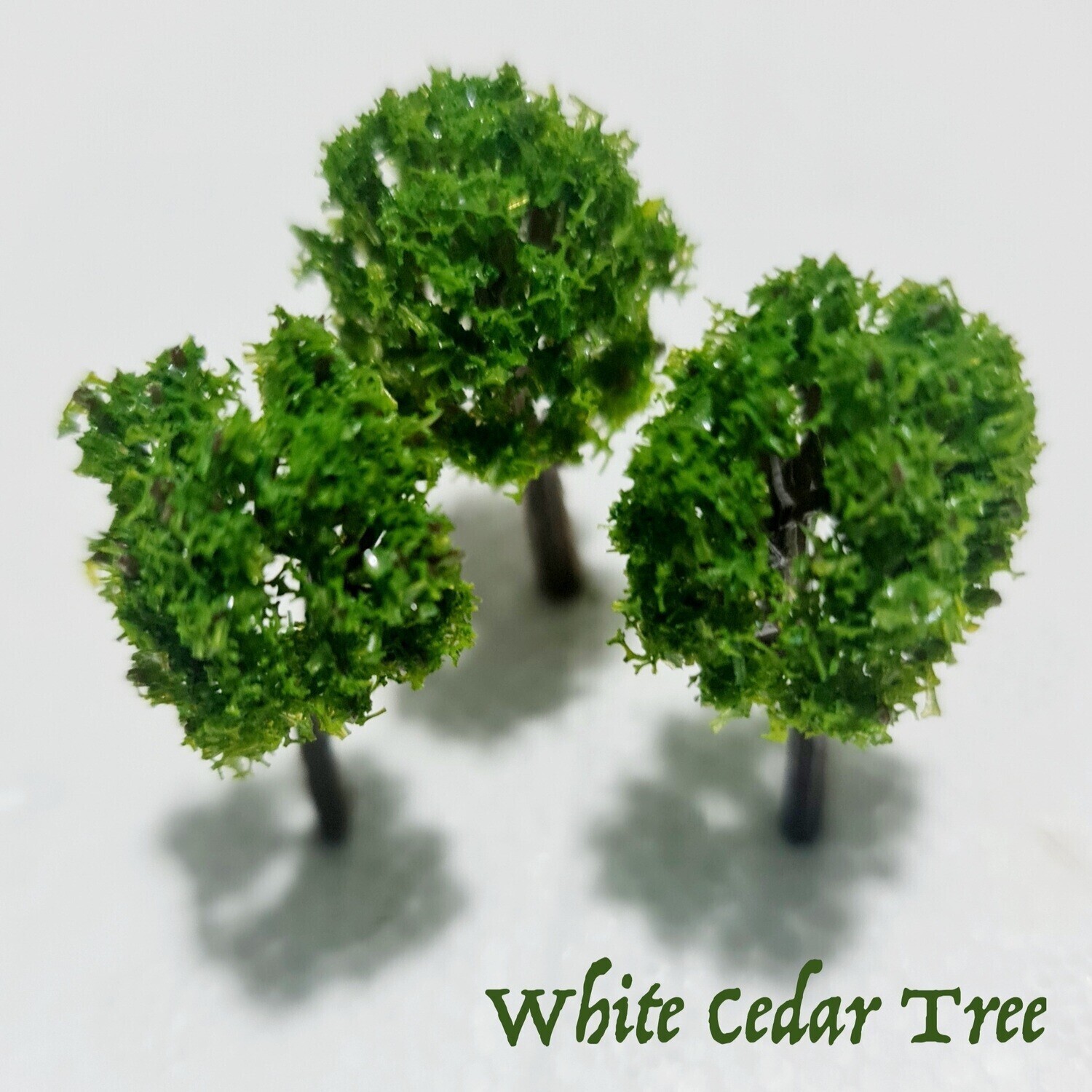 Itty Bitty Mini White Cedar Trees - 6pk