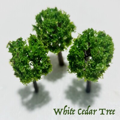 Itty Bitty Mini White Cedar Trees - 6pk