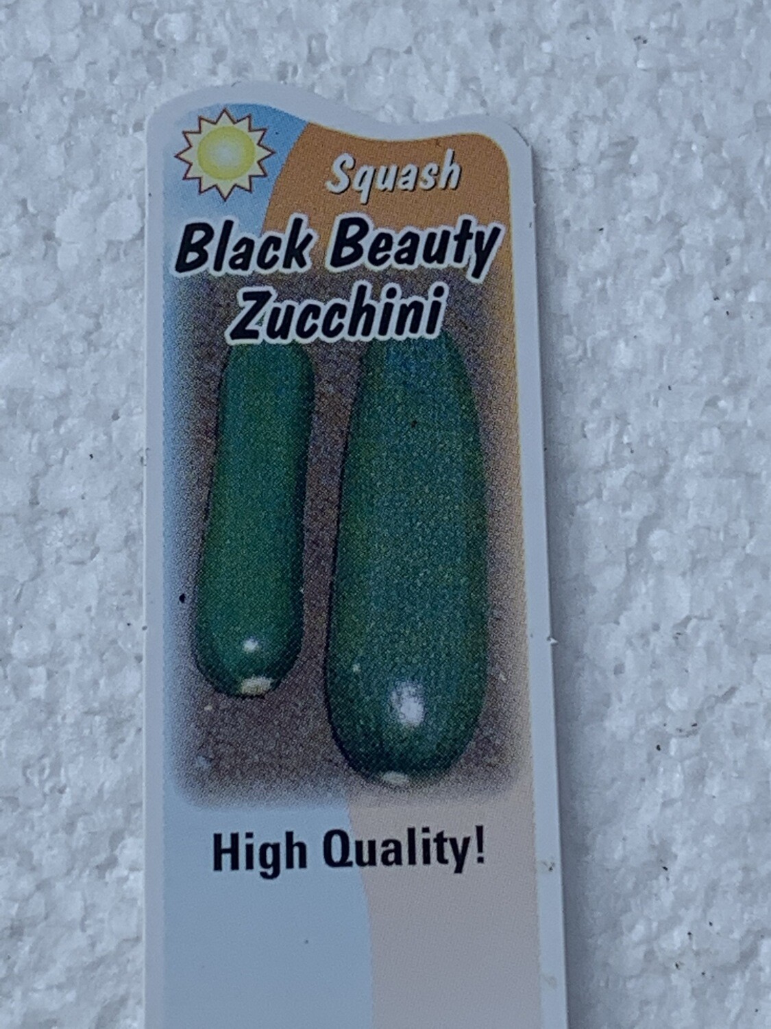 ZUCCHINI - BLACK BEAUTY DARK GREEN - 3" SQ POT