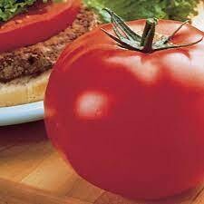 TOMATO PARK'S WHOPPER - 4.5" SQ POT