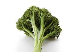 BROCCOLI ARTWORKS - 3" SQ POT
