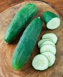 CUCUMBER - STRAIGHT EIGHT  -  3" SQ POT