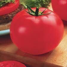 TOMATO BIG BEEF