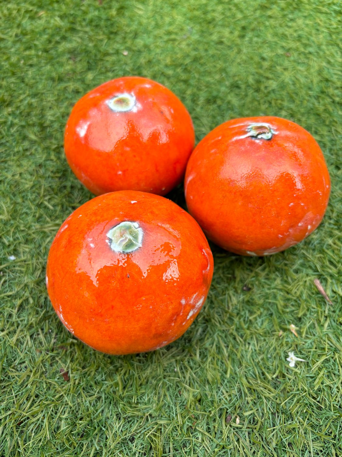 Ceramic oranges